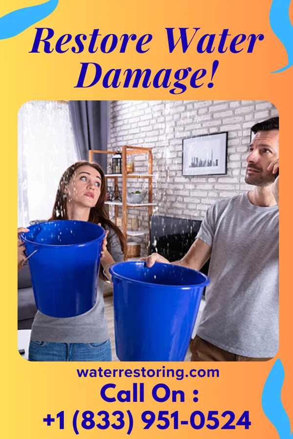water restoration Solid Disaster Cleanup Company Calverton Park