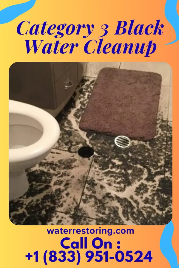 Category 3 Black Water Cleanup in Calverton Park, MO