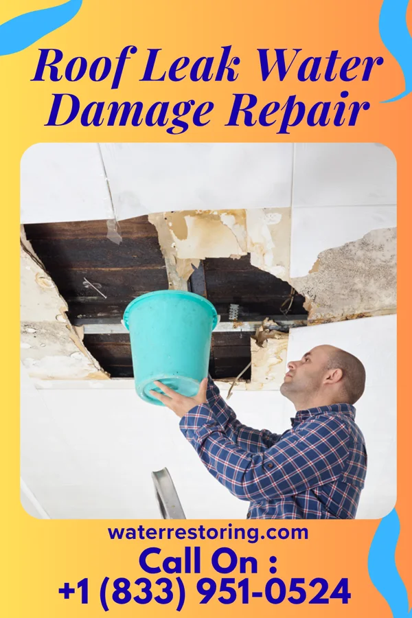 Roof Leak Water Damage Repair in Calverton Park, MO